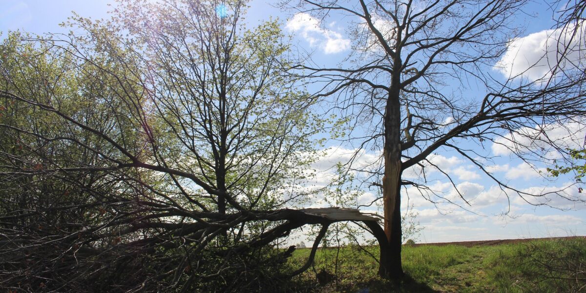 Scheidung wegen Verschuldens in Österreich: Voraussetzungen, Eheverfehlungen, Verzeihung, Fristablauf, Zivilverfahren und anwaltliche Vertretung im Überblick